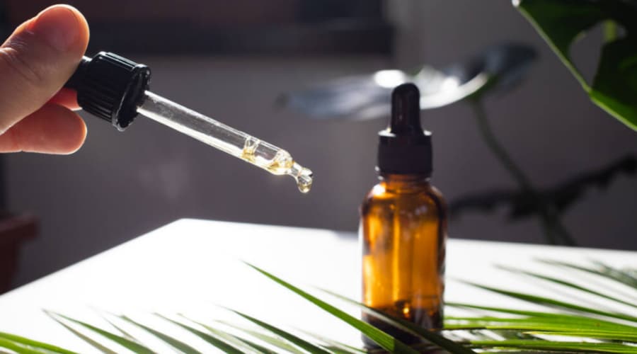 The Benefits of CBD in Hair Care – DS Laboratories - South Africa